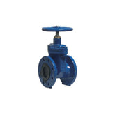 Gate Valve Cast Iron (Flanged)
