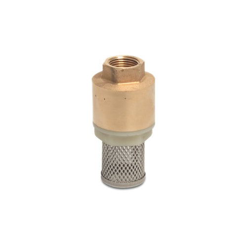 Foot Valve Brass / Standard